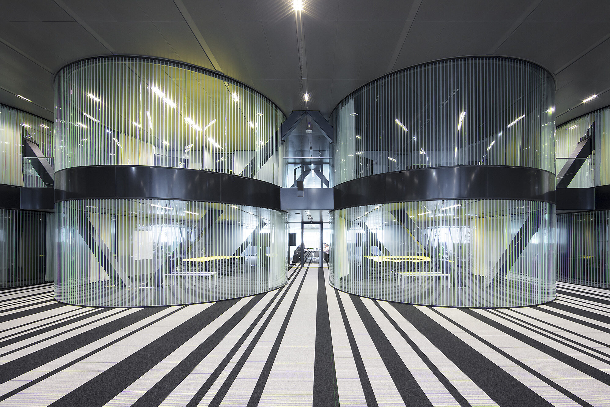 Maars Living Walls Rijnstraat
